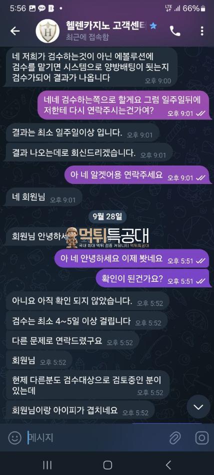 헬렌카지노1.png