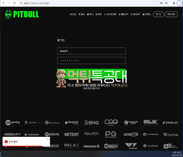 핏불4.png