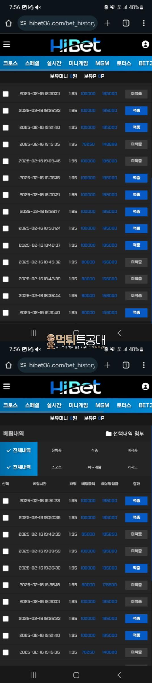 하이벳1.png