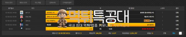 복순이.png