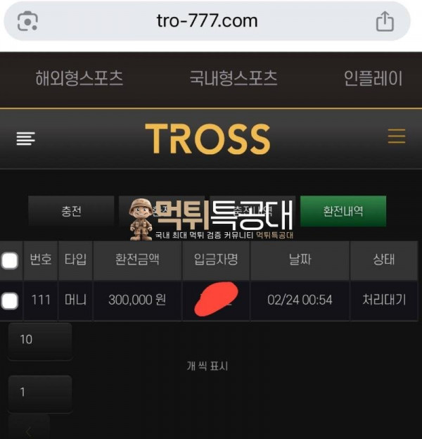 트로스.jpeg