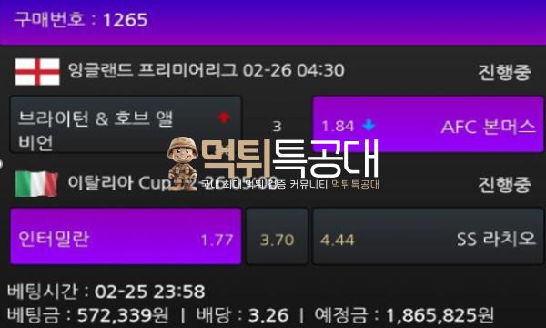 웰벳.png