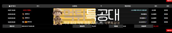 비카3.png