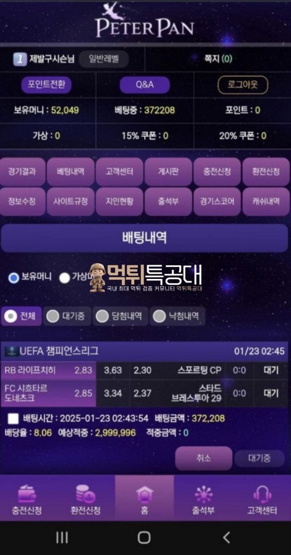 피터팬.png
