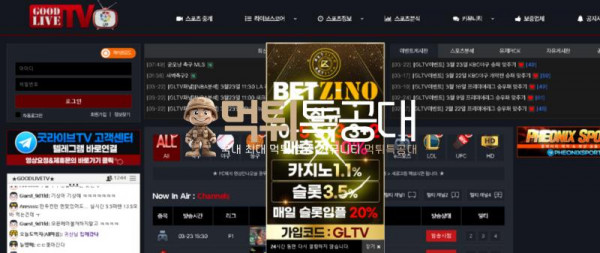 뱃지노1.png