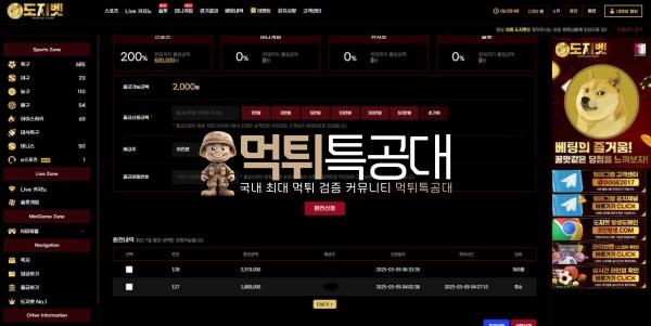 도지2.jpg