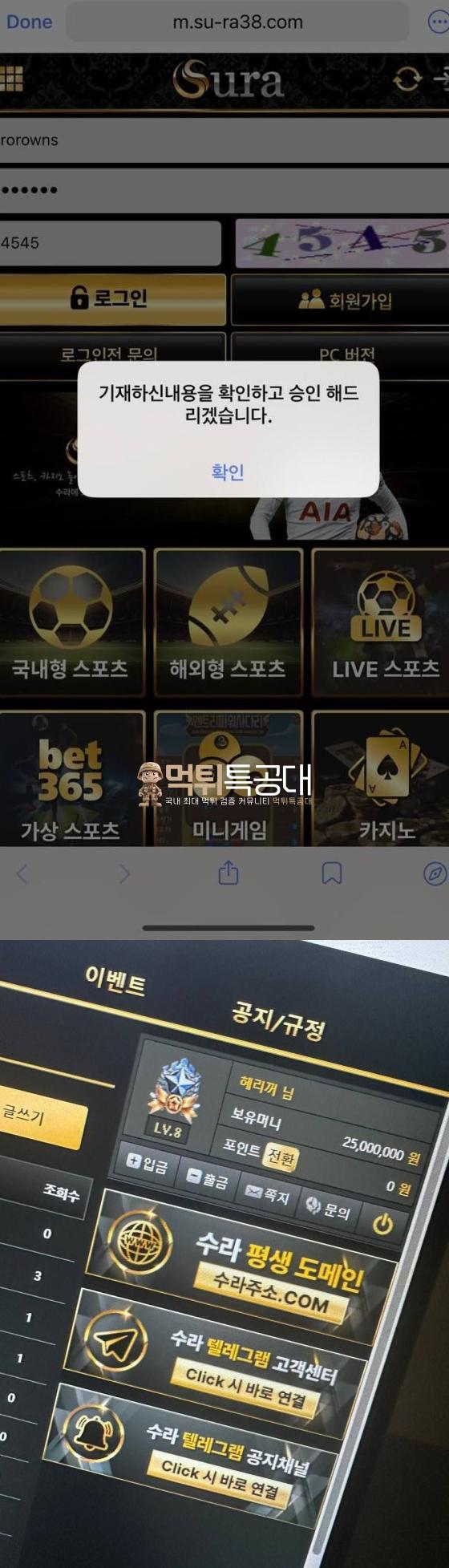수라.png