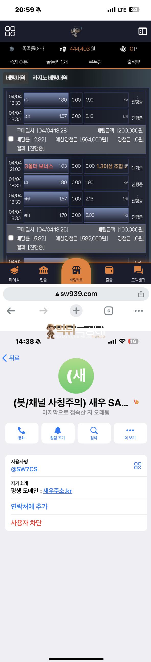 새우.png