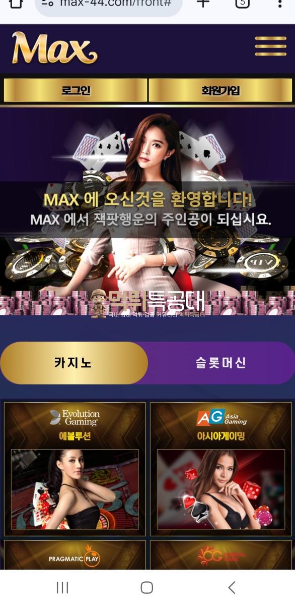 맥스.png