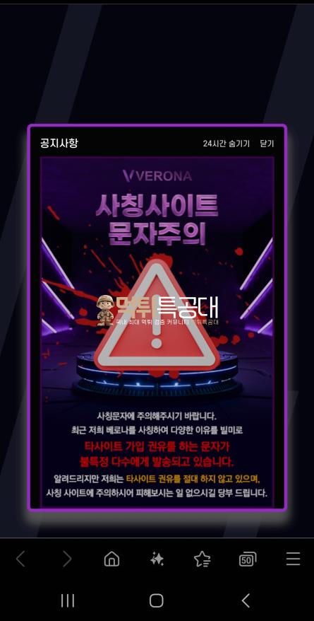 베로나.png