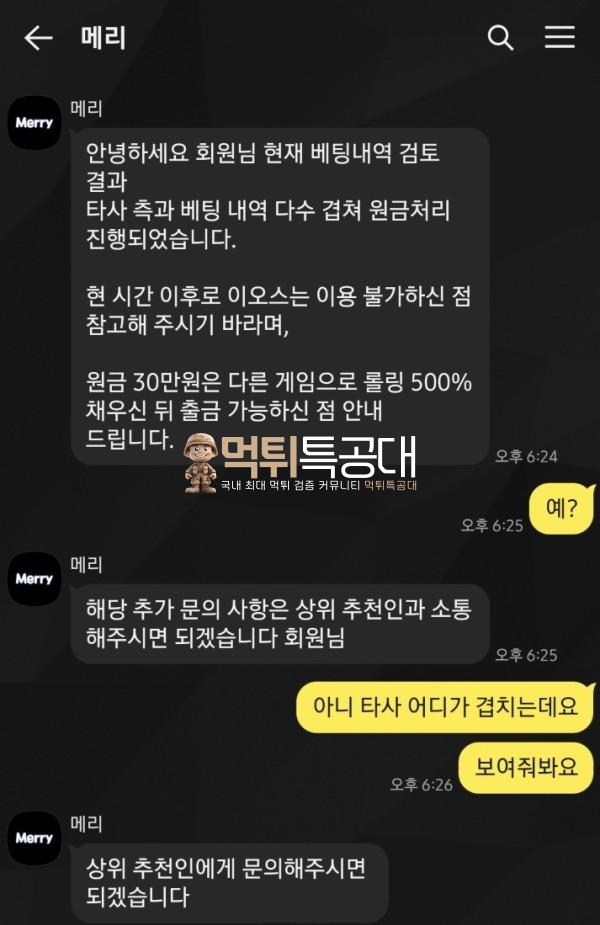 메리.png