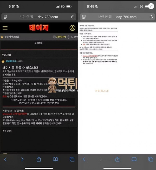 데이지.png