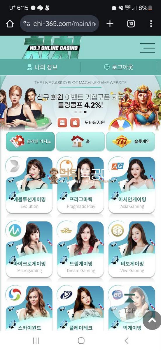 치치.png