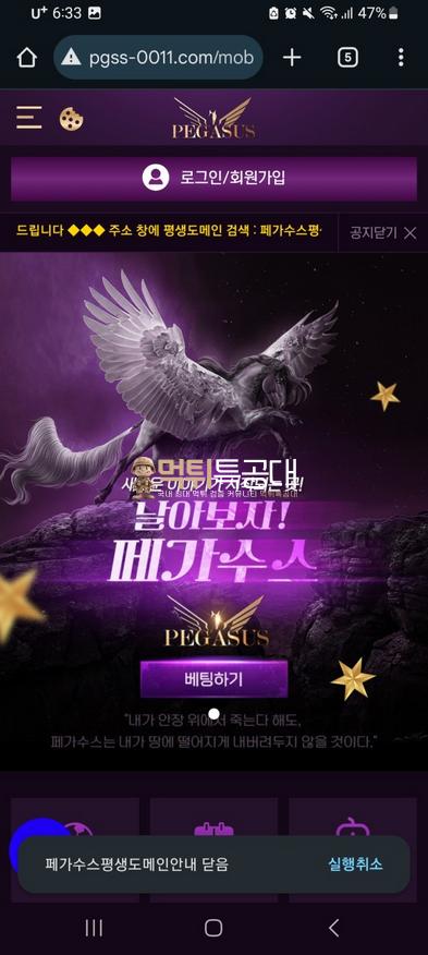 페가수스.png