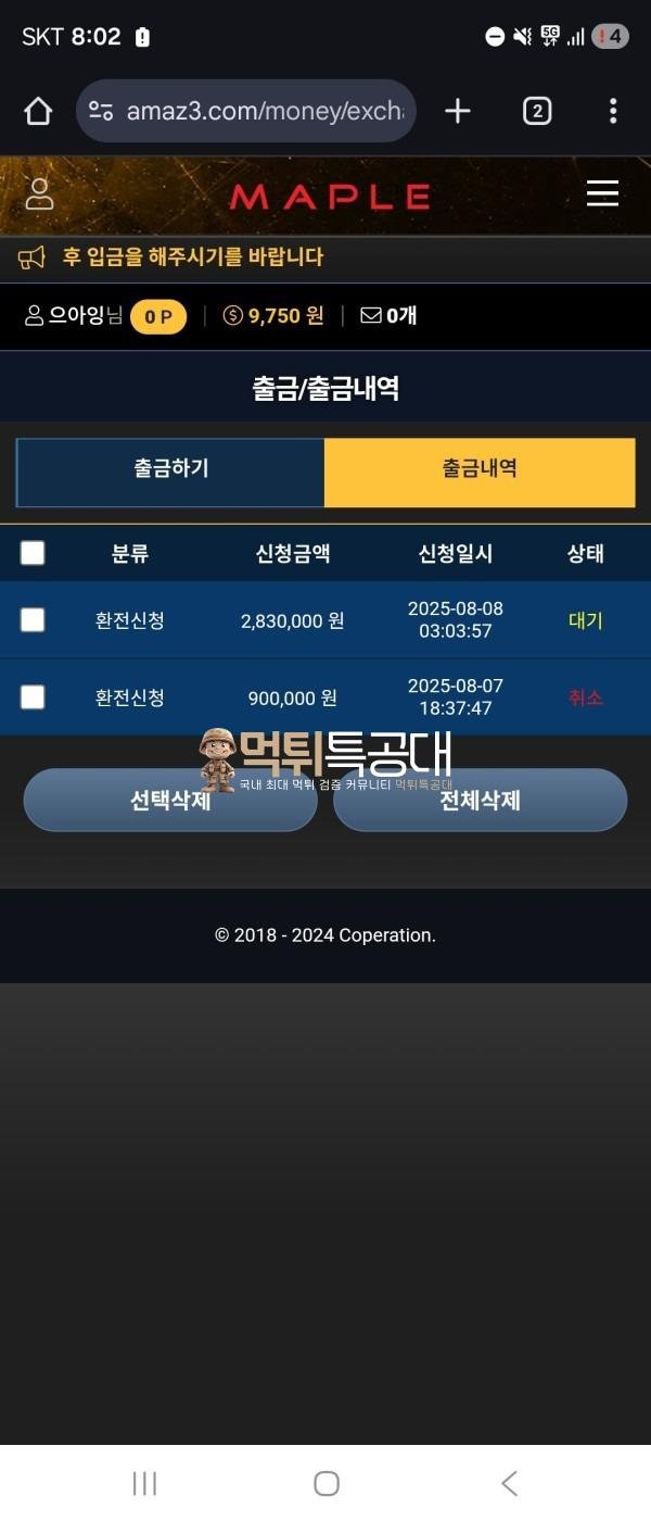 메이플.jpg