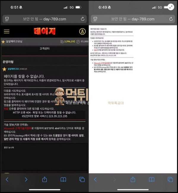 데이지.png