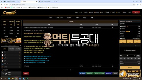 콘도르.png