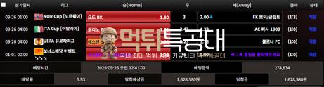 씨엔엔.png