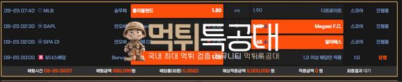 벳엔터.png