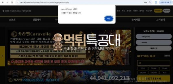 카니발.jpg