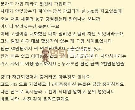 라쿤.jpg