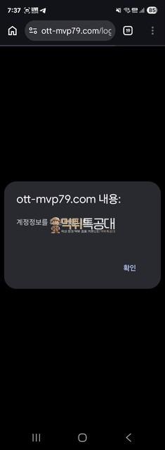 333333.jpg